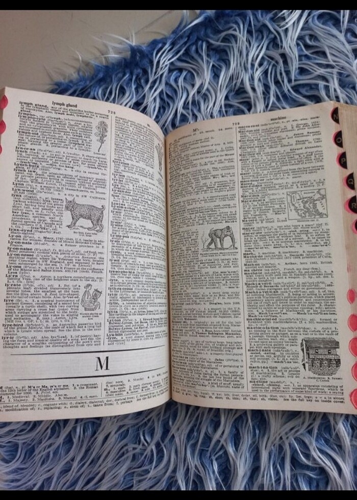 1953 American College ingilizce sözlük antika - Görsel 4