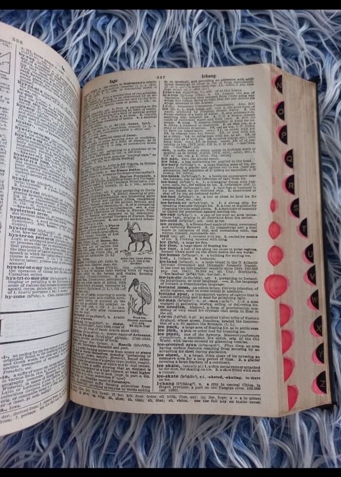 1953 American College ingilizce sözlük antika - Görsel 5