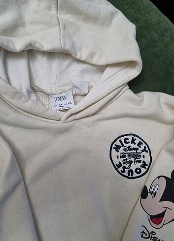 Zara ZARA Sweatshirt