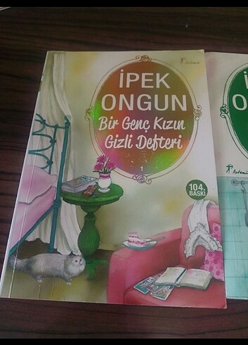  Beden İpek Ongun öykü kitapları