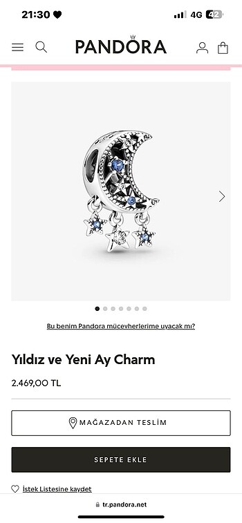 Pandora orijinal gümüş charm