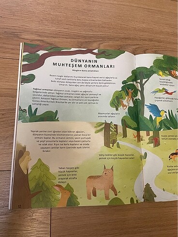 Ağaçların Gizli Yaşamı - Görsel 3