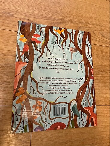 Ağaçların Gizli Yaşamı - Görsel 5