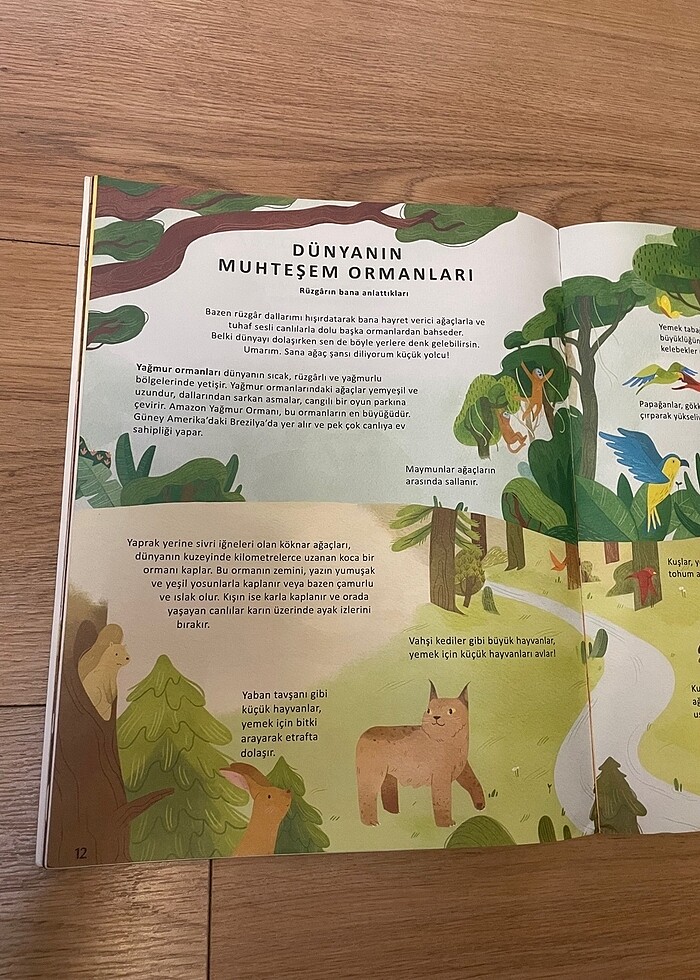 Ağaçların Gizli Yaşamı - Görsel 3