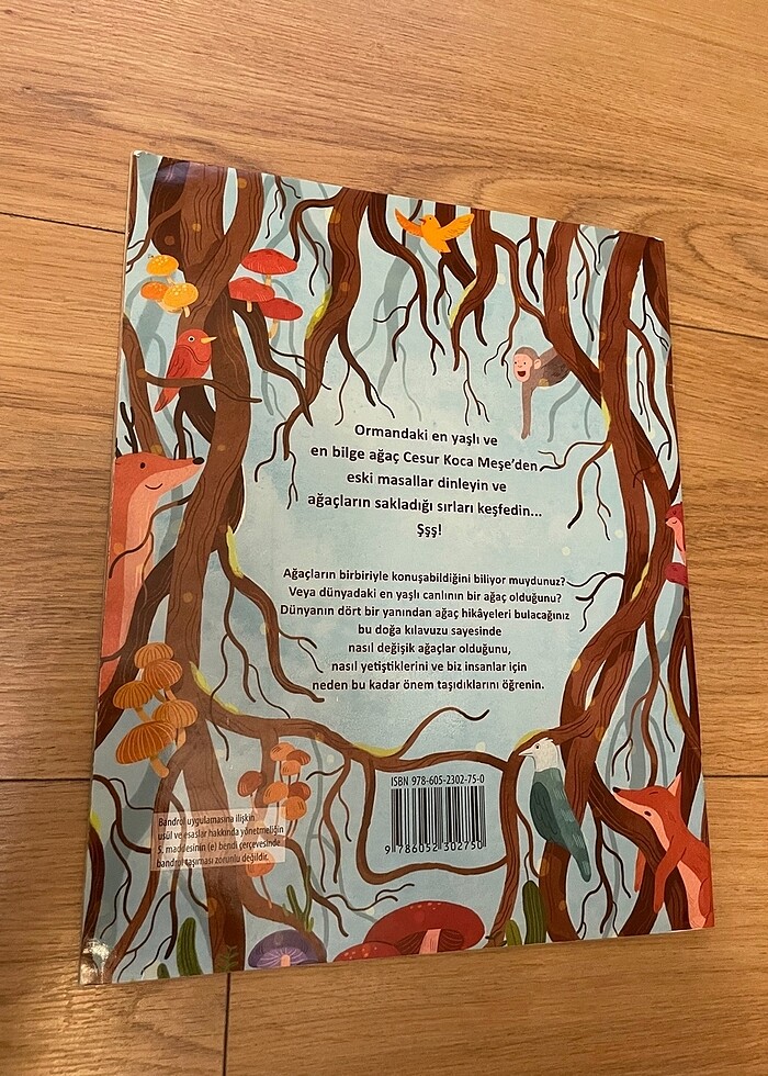 Ağaçların Gizli Yaşamı - Görsel 5
