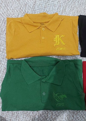 Diğer Erkek Çocuk Renkli uzun Kollu Polo Tişört
