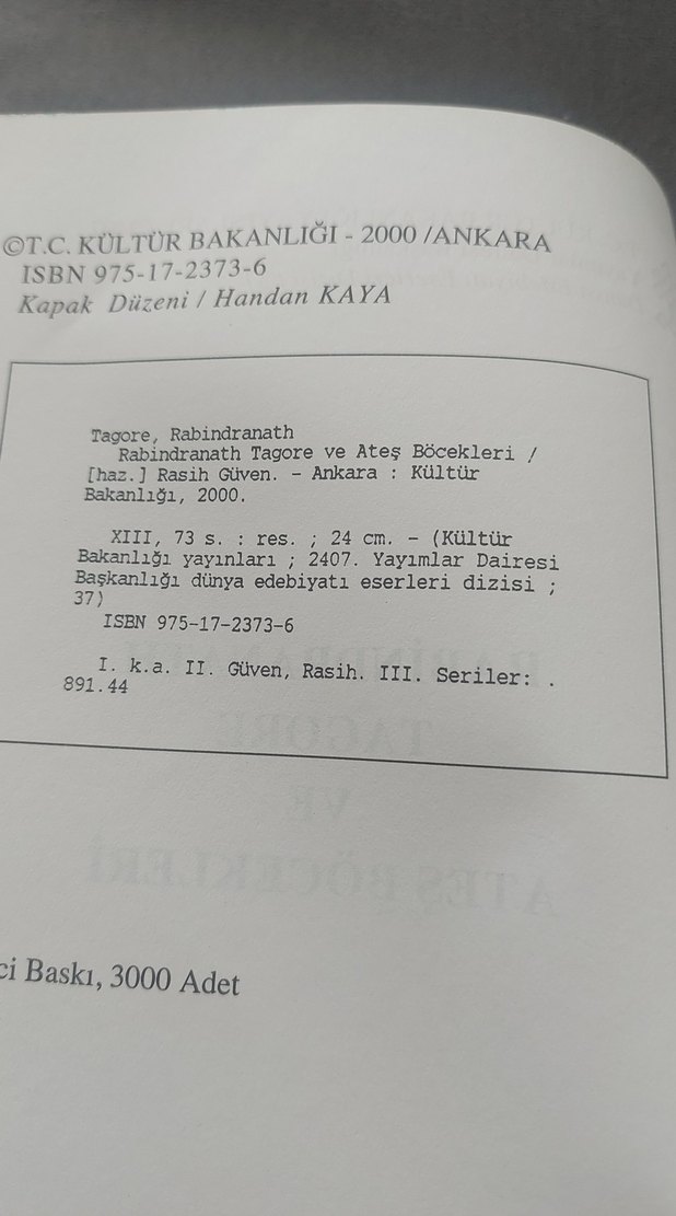 Rabindranath Tagore ve Ateş Böcekleri - Rasih Güven - Görsel 4