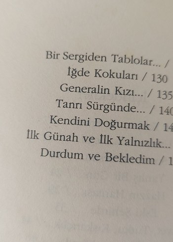 Ahmet Altan - İçimizde Bir Yer Roman - Görsel 3