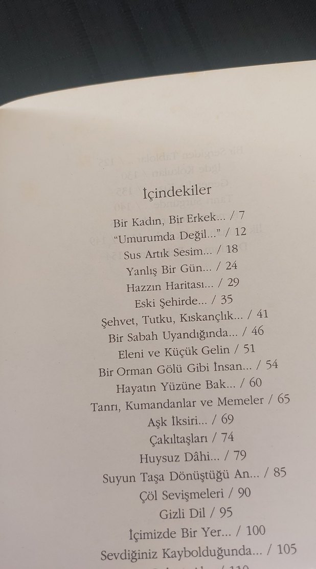 Ahmet Altan - İçimizde Bir Yer Roman - Görsel 2