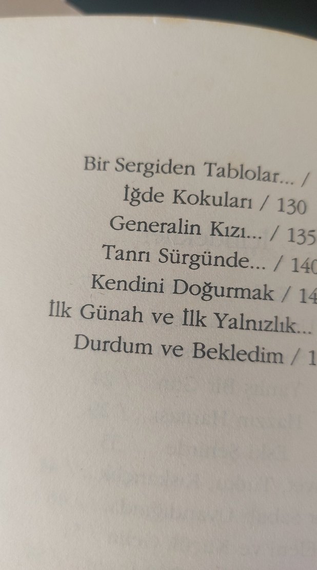 Ahmet Altan - İçimizde Bir Yer Roman - Görsel 3