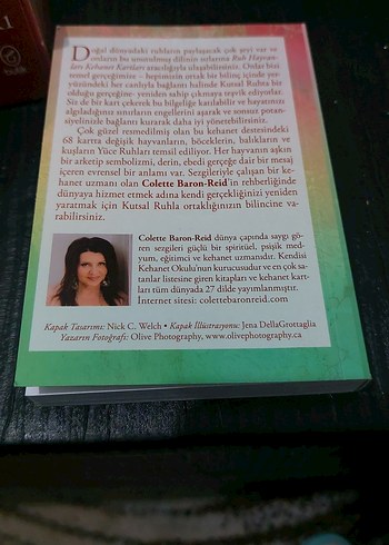 Colette Baron-Reid Ruh Hayvanları Kartları - Görsel 2