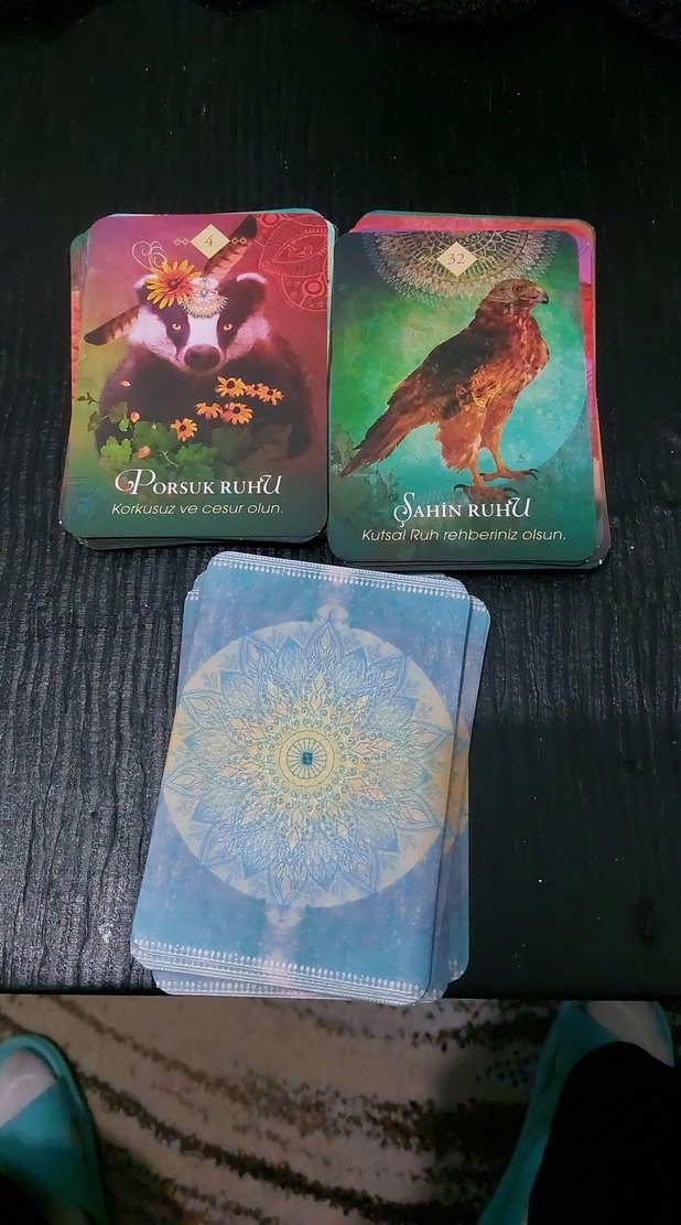 Colette Baron-Reid Ruh Hayvanları Kartları - Görsel 4