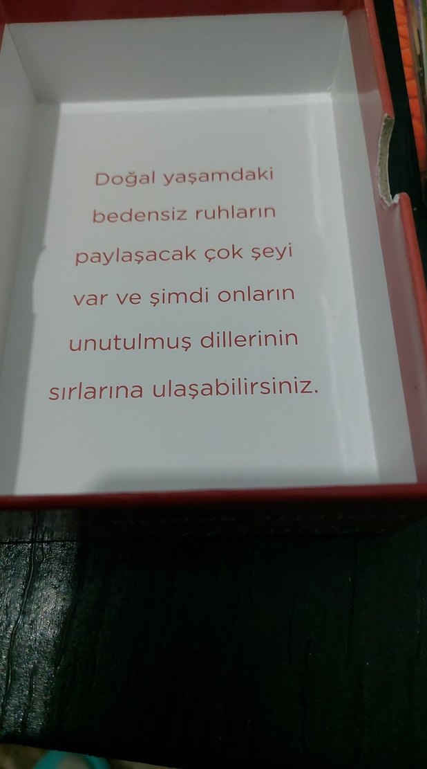 Colette Baron-Reid Ruh Hayvanları Kartları - Görsel 5