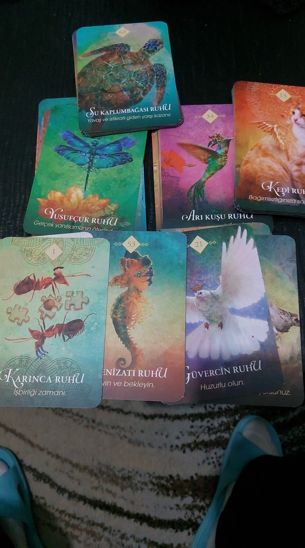 Colette Baron-Reid Ruh Hayvanları Kartları - Görsel 3