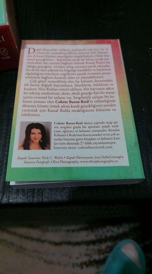 Colette Baron-Reid Ruh Hayvanları Kartları - Görsel 2