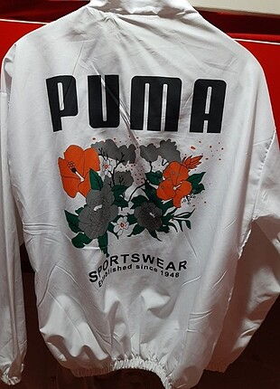 Puma yazlik