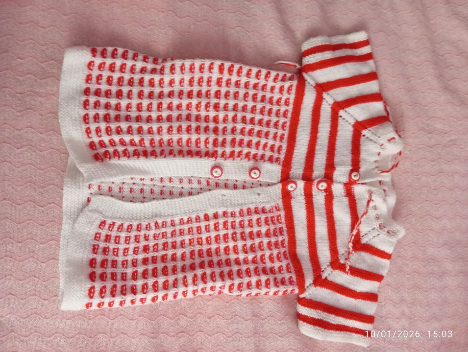 Kısa Kollu Nakışlı Kız yada erkek için uygun yelek - Görsel 2