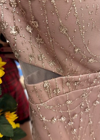 Bej İşlemeli Uzun V Yaka Abiye Elbise hiç giyilmedi - Görsel 4