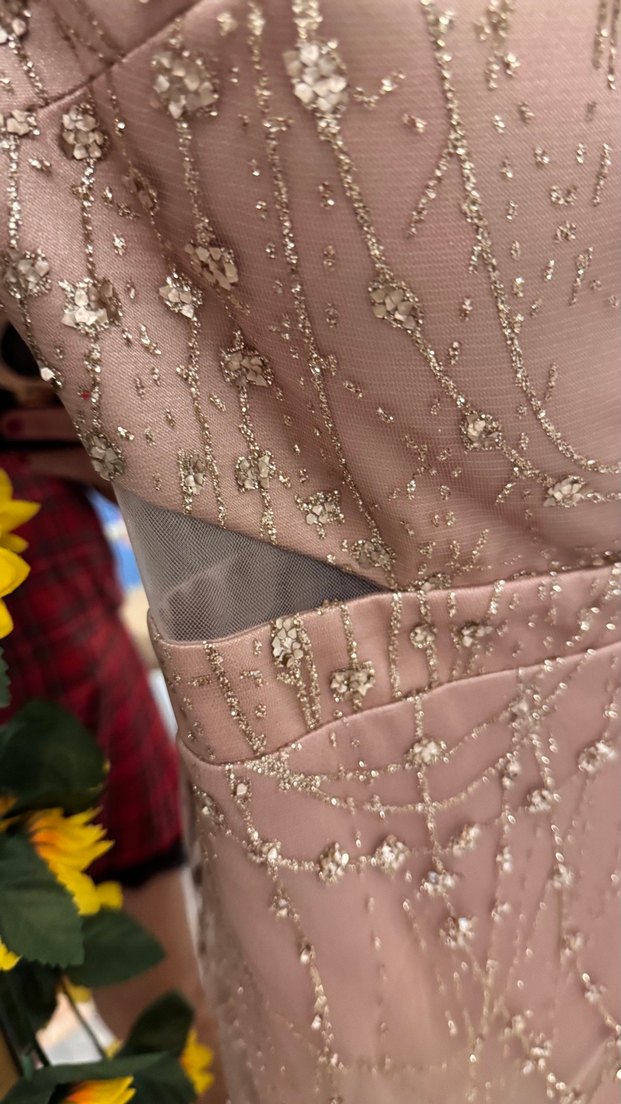 Bej İşlemeli Uzun V Yaka Abiye Elbise hiç giyilmedi - Görsel 4