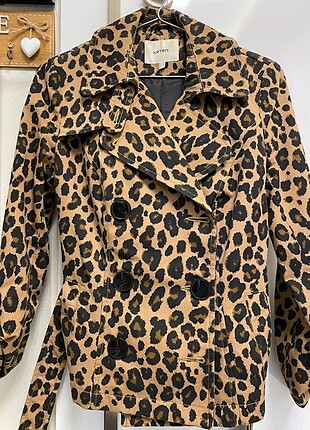 Leopar desenli, kısa trenchcoat.