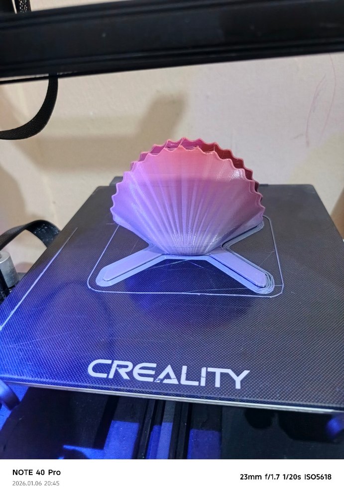 Deniz kabuğu peçetelik - Görsel 2