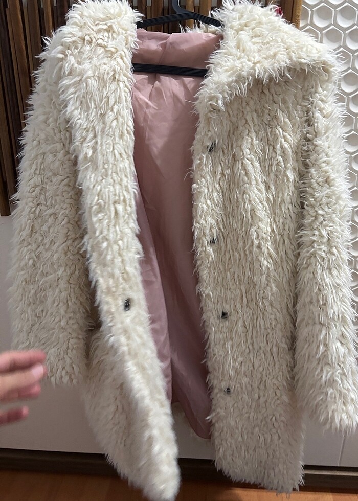 Tüylü kaban - Görsel 2