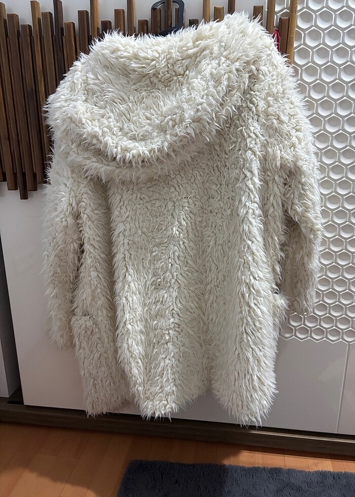 Tüylü kaban - Görsel 4