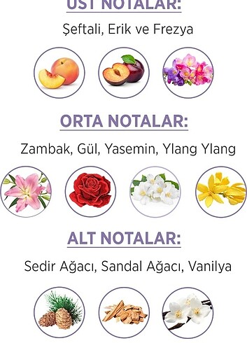  Beden PRİVACY Kadın Parfüm 