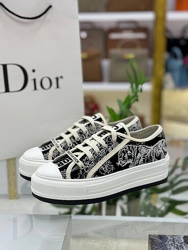 dior ayakkabı