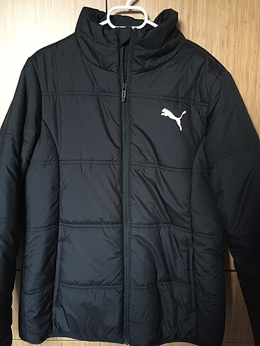 Puma mont
