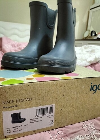 Igor İgor