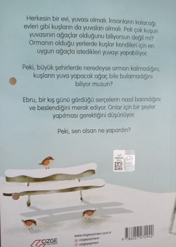 Kar Serçeleri - Melda Tekin - Görsel 2