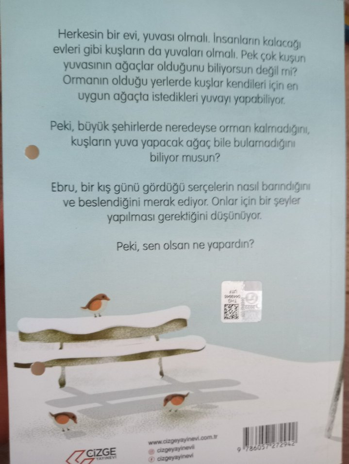 Kar Serçeleri - Melda Tekin - Görsel 2