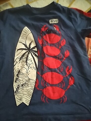 LC Waikiki Tisort