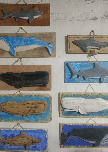 Gri Köpekbalığı Figürü Dekor - Görsel 6