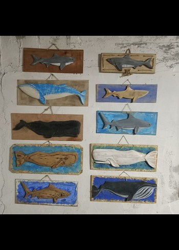 Gri Köpekbalığı Duvar Süsü - Görsel 5