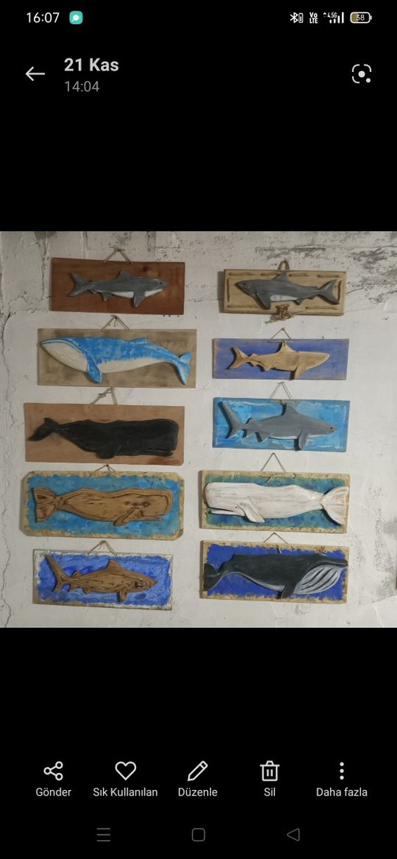 Gri Köpekbalığı Duvar Süsü - Görsel 5