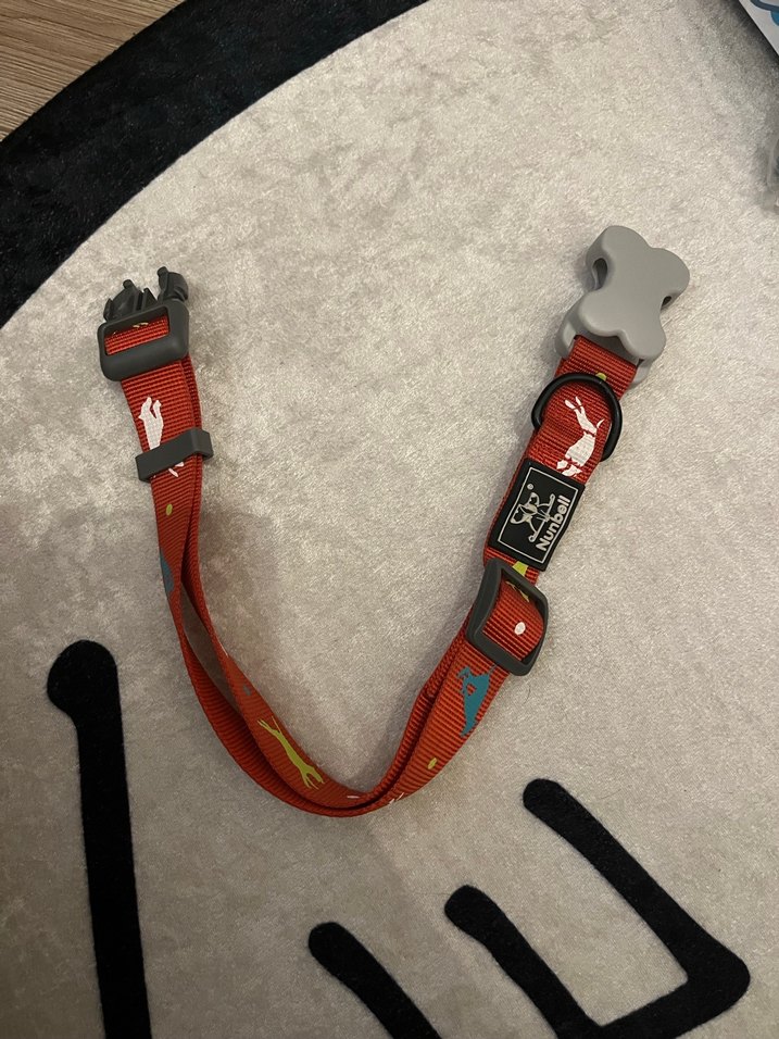 Renkli Desenli Kırmızı Köpek Tasması - Görsel 2