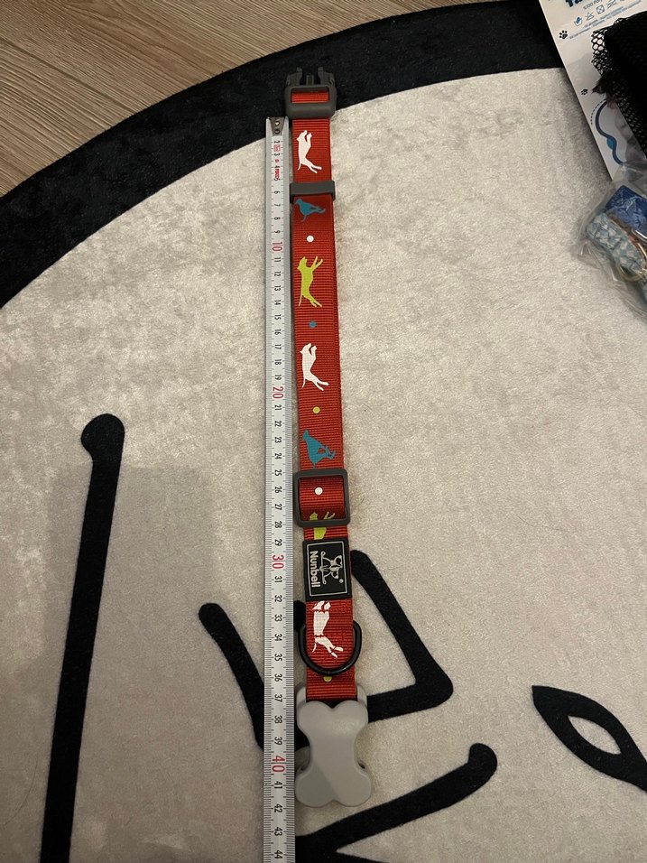 Renkli Desenli Kırmızı Köpek Tasması - Görsel 3