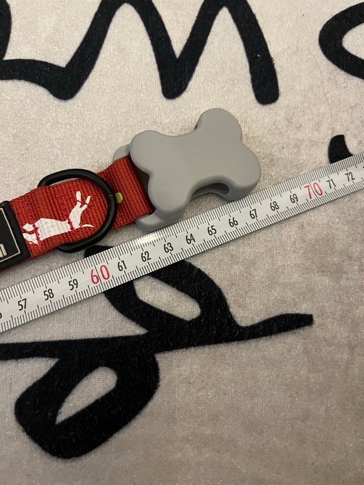 Renkli Desenli Kırmızı Köpek Tasması - Görsel 5