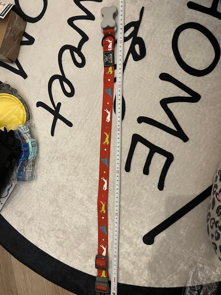 Renkli Desenli Kırmızı Köpek Tasması - Görsel 4