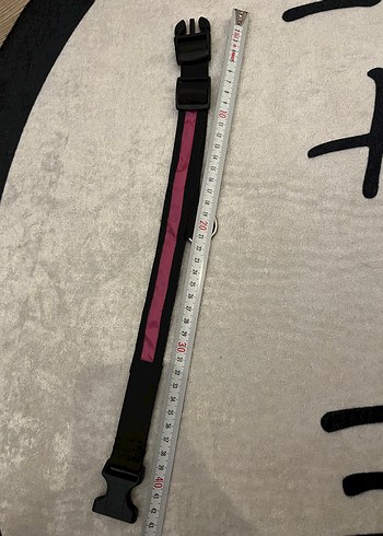 Pembe Köpek Tasması - Görsel 3