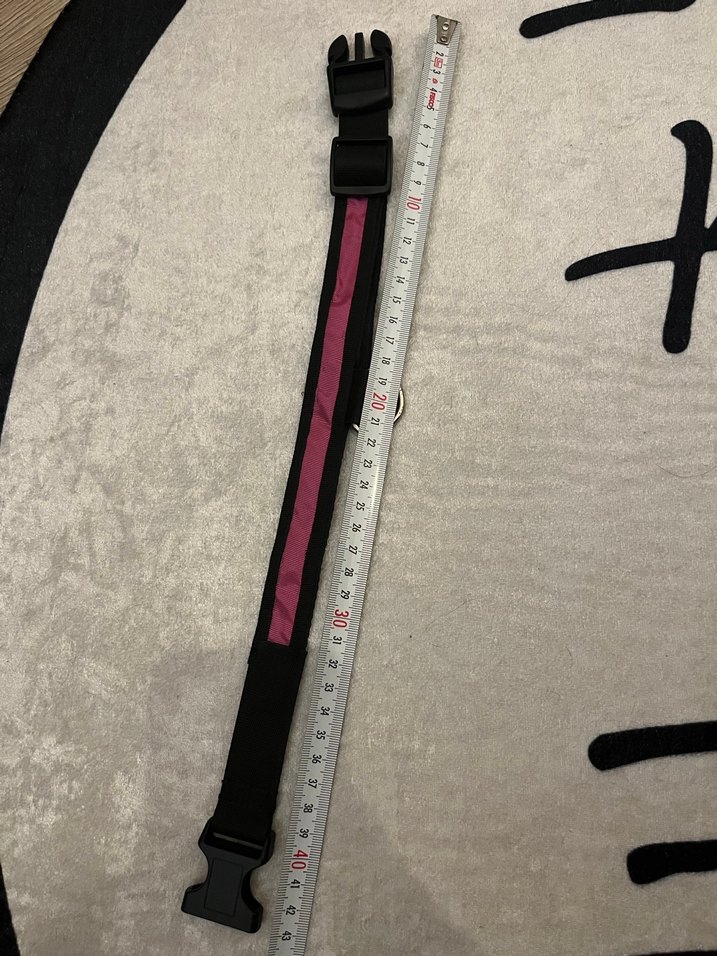 Pembe Köpek Tasması - Görsel 3