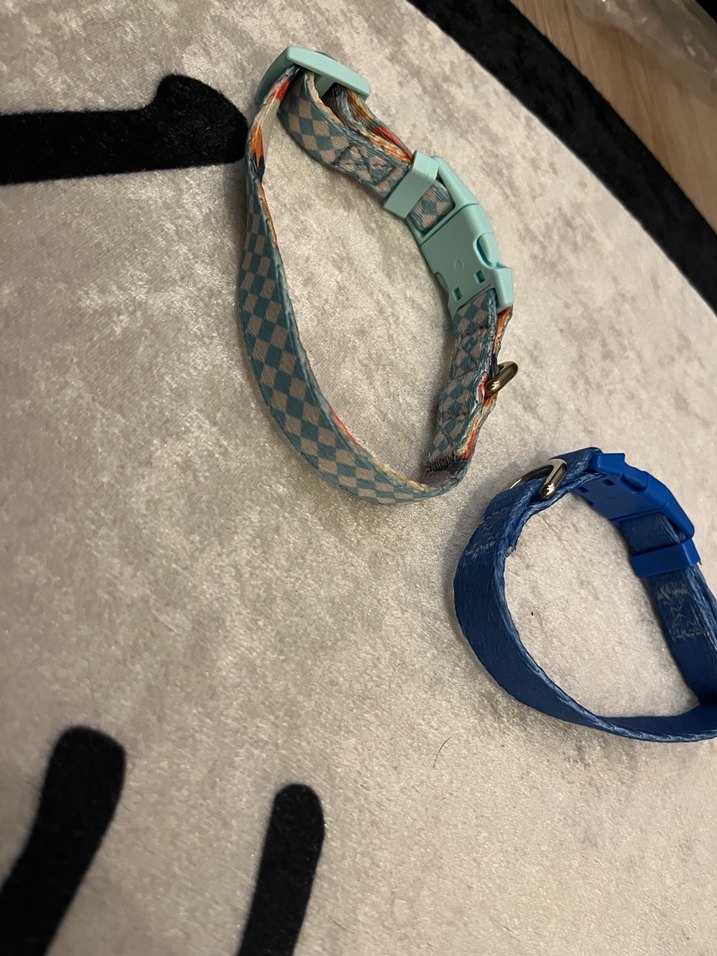 Renkli ve Ayarlanabilir 2 Köpek Tasması - Görsel 5