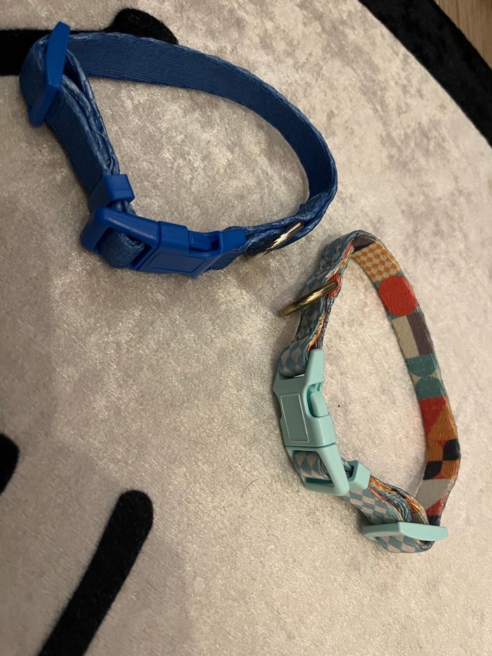 Renkli ve Ayarlanabilir 2 Köpek Tasması - Görsel 4