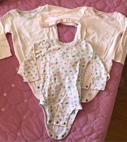 Carters zıbın