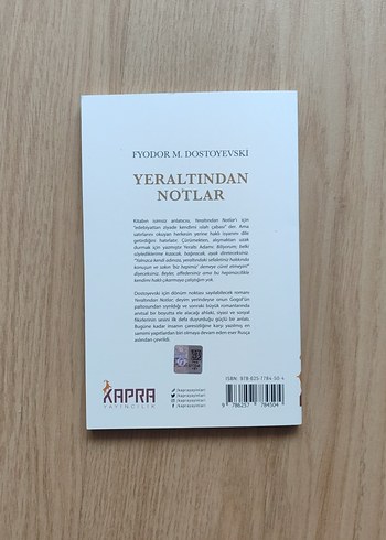 Yeraltından Notlar - Fyodor Dostoyevski - Görsel 2