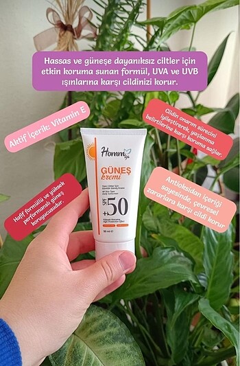 Güneş kremi