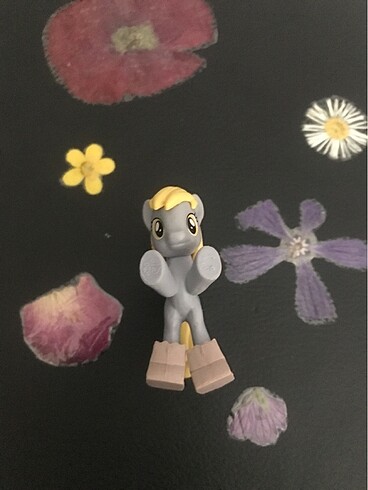 Poony