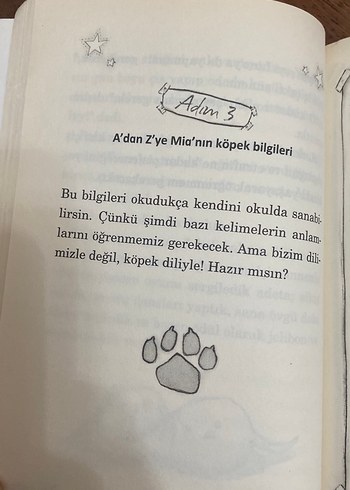 Beden Renk (Neredeyse) Mükemmel Bir Pati Mutluluğu